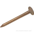 Wooden Polished Common Iron Nails 1 Inch